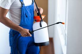 Emergency Pest Control in Star Valley Ranch, WY